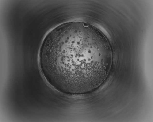 X0000100490944200806131247