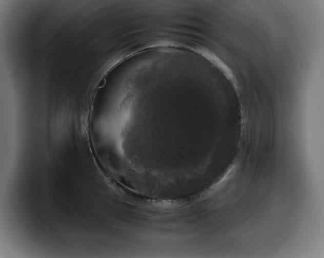 X0000100490945200806131247