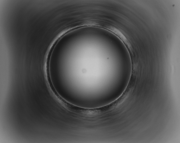 X0000100490947200806131247