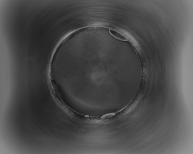 X0000100490948200806131247