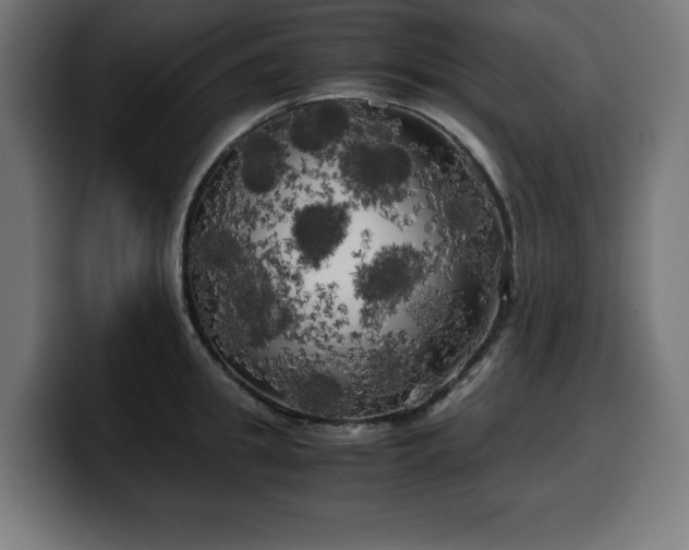 X0000100490949200806131247