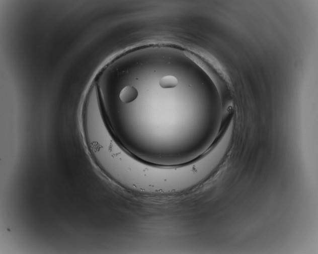 X0000100490950200806131247