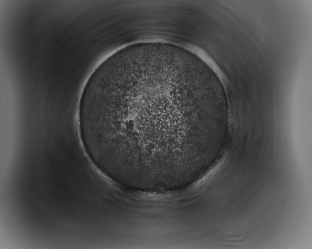 X0000100490951200806131247