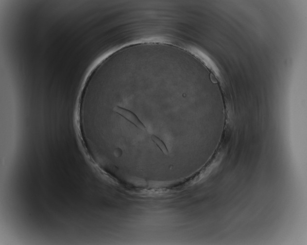 X0000100490952200806131247