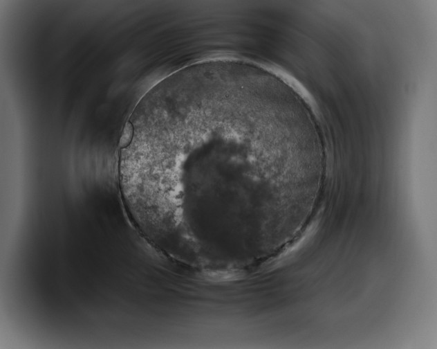 X0000100490953200806131247