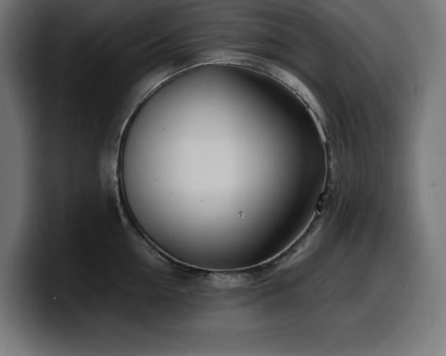 X0000100490954200806131247