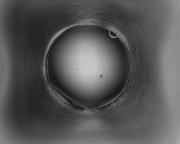 X0000100490960200806131247