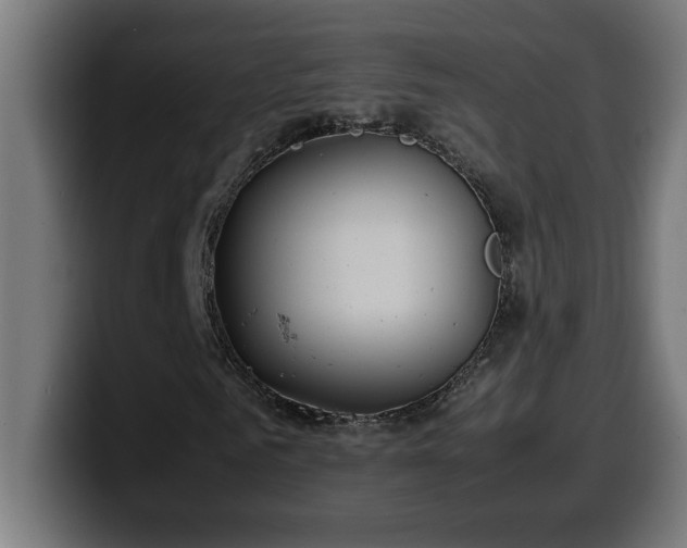 X0000100490961200806131247