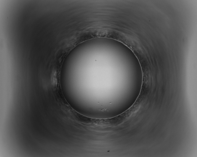 X0000100490962200806131247