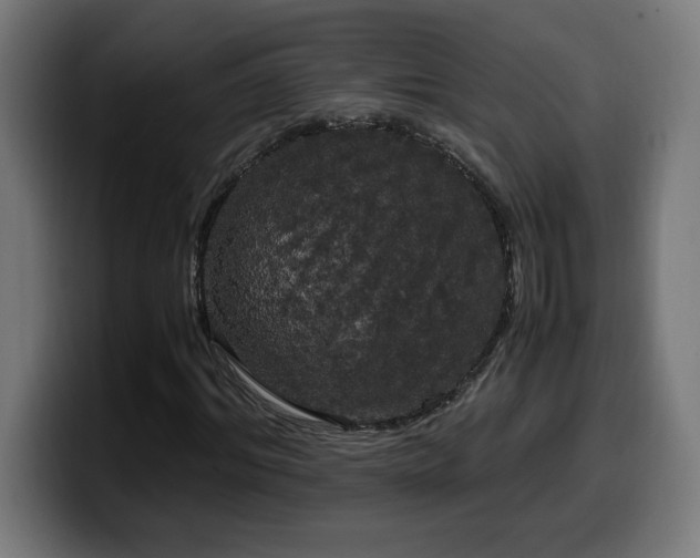 X0000100490964200806131247
