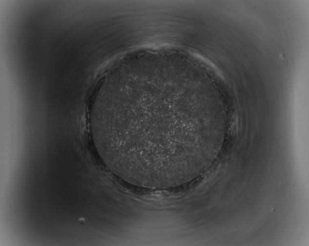 X0000100490966200806131247