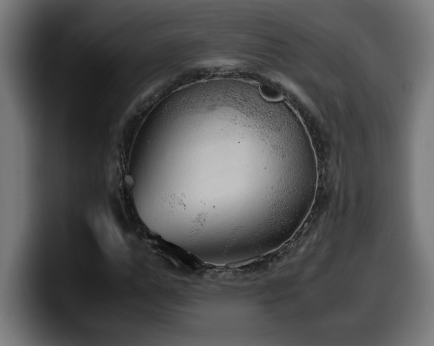 X0000100490967200806131247