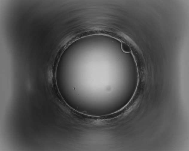 X0000100490969200806131247