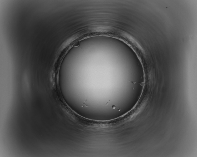 X0000100490970200806131247