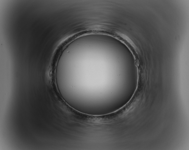 X0000100490971200806131247