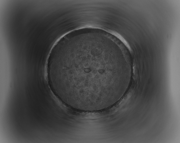 X0000100490972200806131247