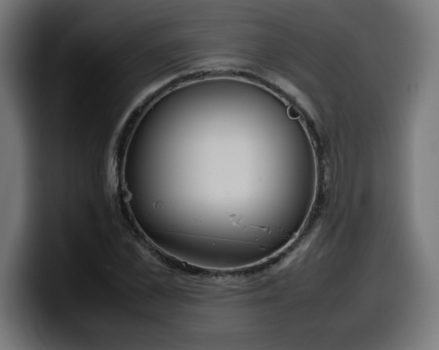 X0000100490973200806131246