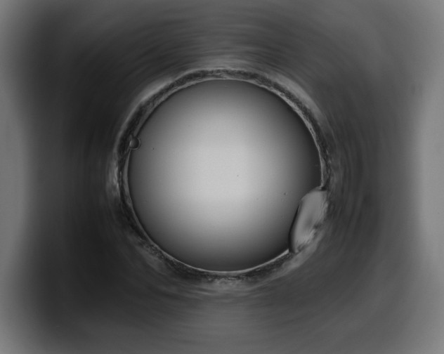X0000100490974200806131246