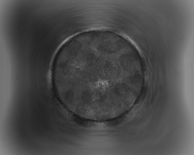 X0000100490975200806131246