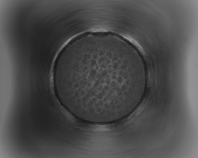 X0000100490976200806131246