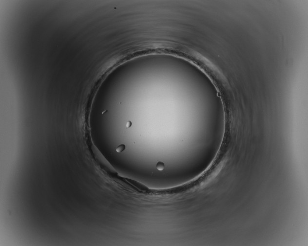 X0000100490977200806131246
