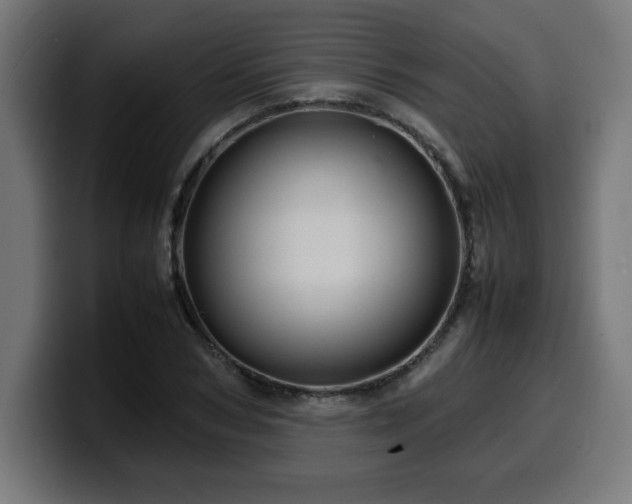 X0000100490978200806131246