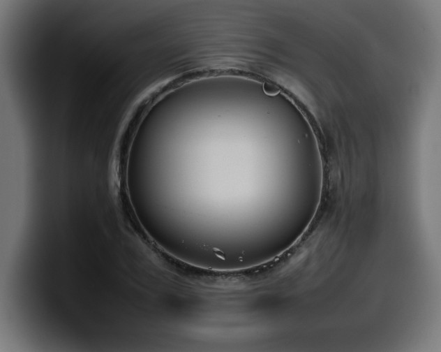X0000100490979200806131246