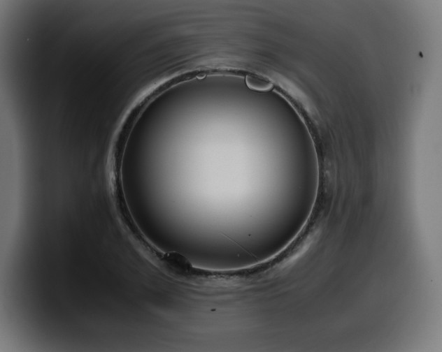 X0000100490981200806131246