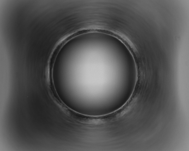 X0000100490982200806131246