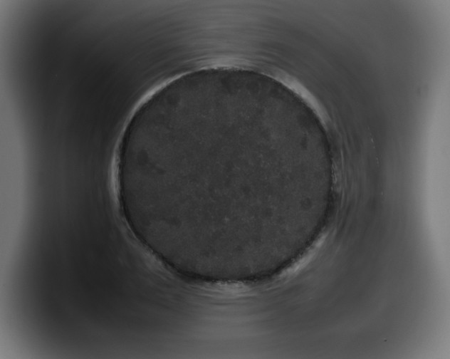 X0000100490983200806131246