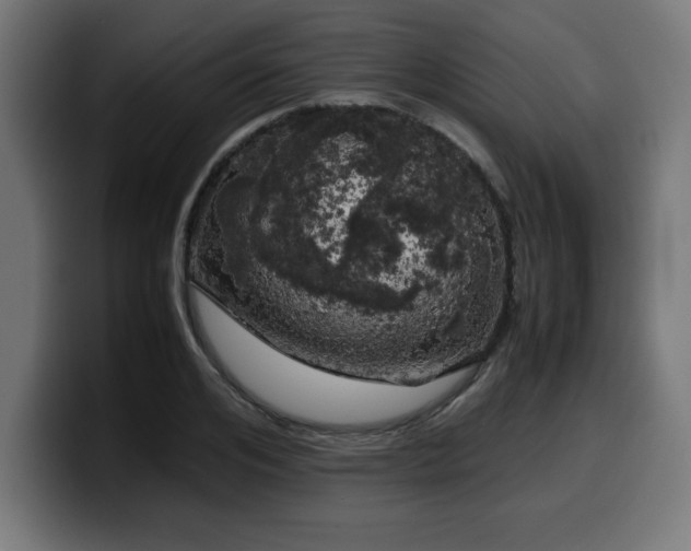 X0000100490984200806131246