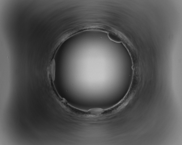 X0000100490985200806131246