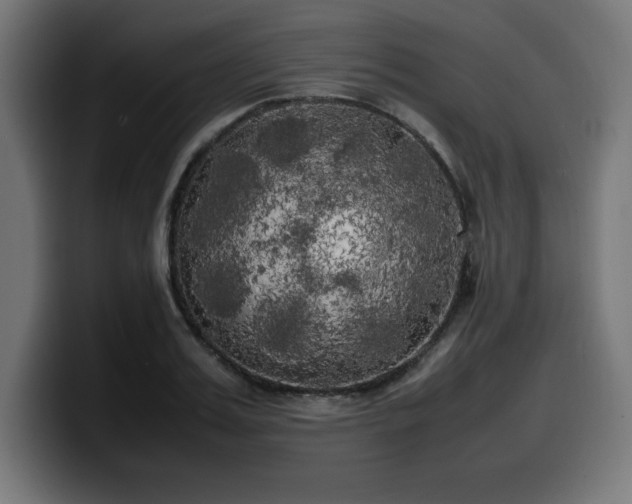 X0000100490987200806131246