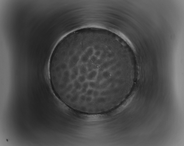 X0000100490988200806131246