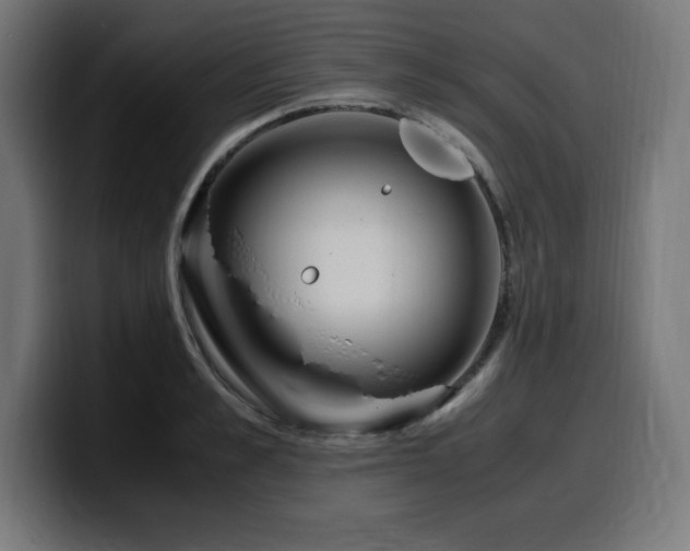X0000100490989200806131246