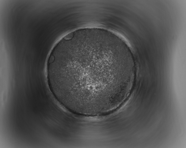 X0000100490990200806131246