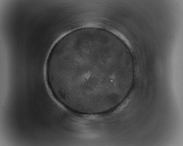 X0000100490991200806131246