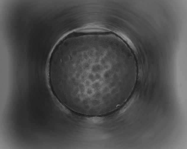 X0000100490992200806131246