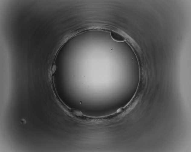 X0000100490993200806131246