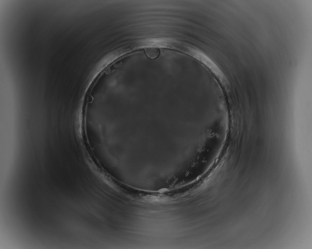 X0000100490994200806131246