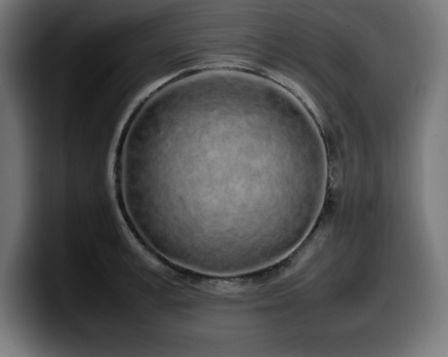 X0000100490995200806131246
