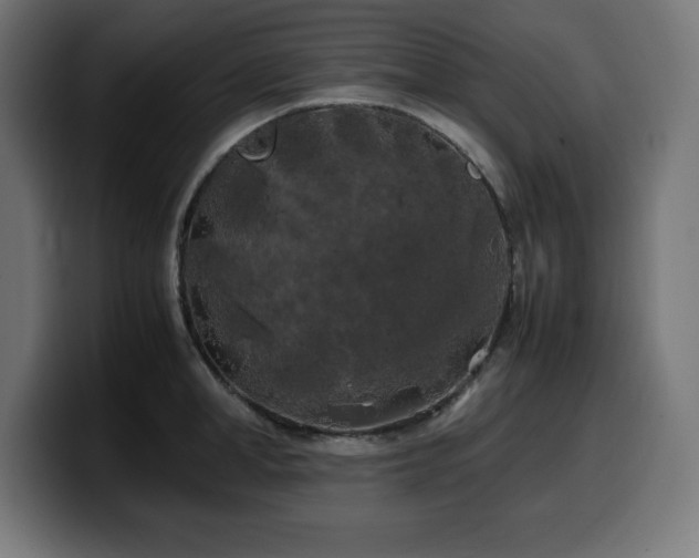 X0000100490998200806131246