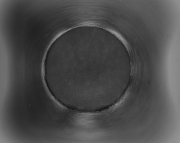 X0000100490999200806131246