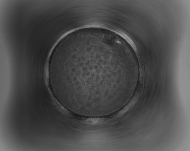 X0000100491000200806131246