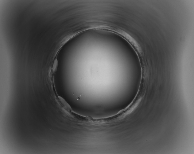 X0000100491001200806131246