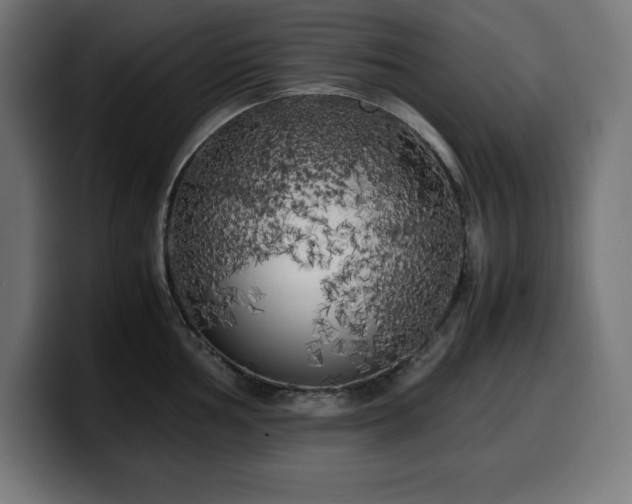 X0000100491002200806131246
