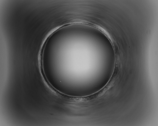 X0000100491003200806131246