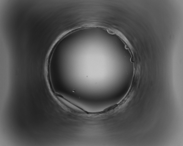 X0000100491005200806131246