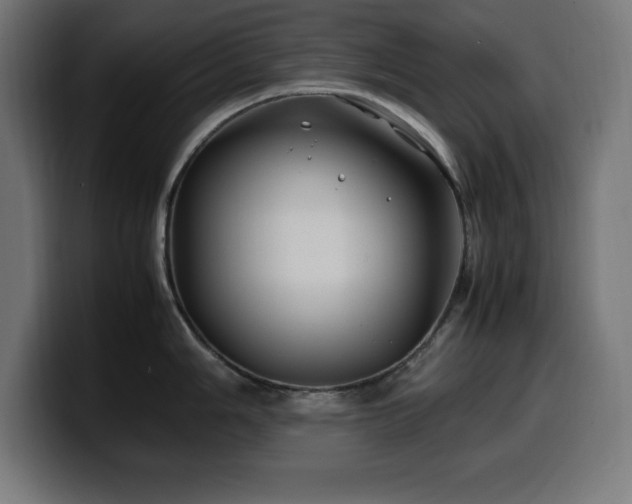 X0000100491006200806131246