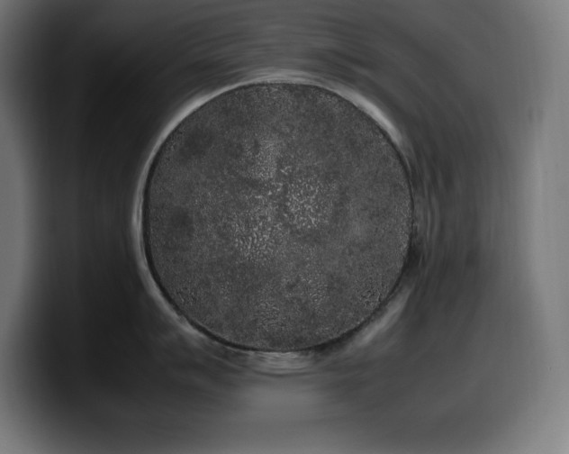 X0000100491007200806131246